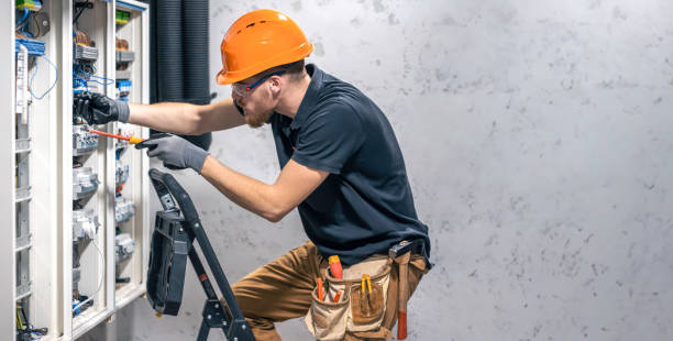 Best Electric Panel Repair  in St Leo, FL